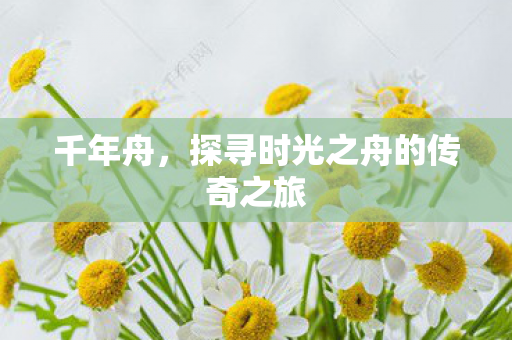 千年舟,探寻时光之舟的传奇之旅 千年舟,探寻时光之舟的传奇之旅