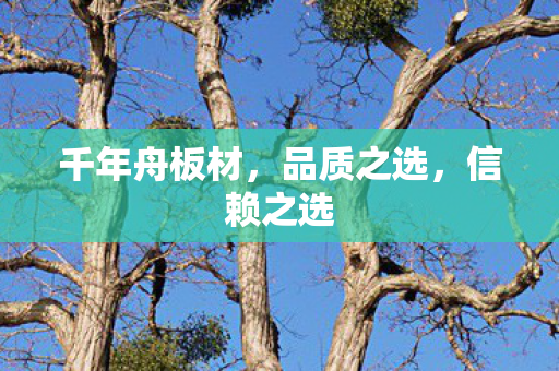 千年舟板材，品质之选，信赖之选