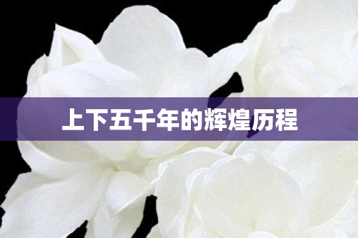 上下五千年的辉煌历程
