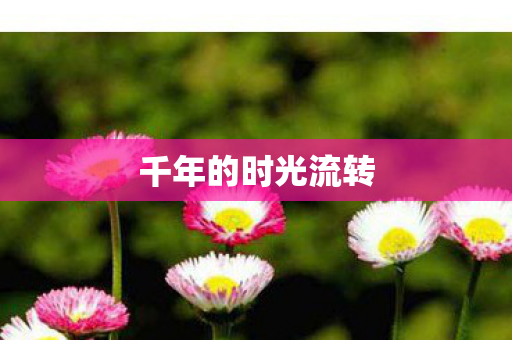 千年的时光流转