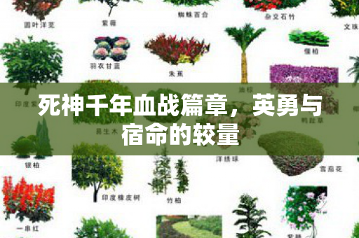 死神千年血战篇章，英勇与宿命的较量