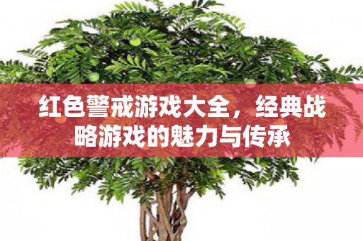 红色警戒游戏大全，经典战略游戏的魅力与传承