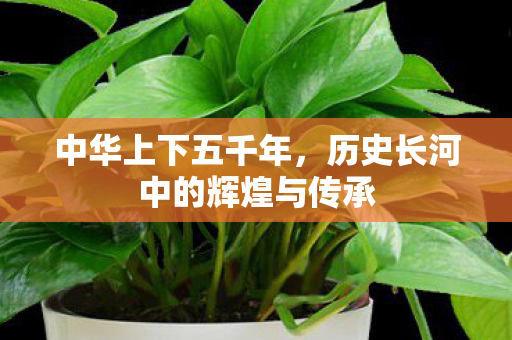 中华上下五千年，历史长河中的辉煌与传承