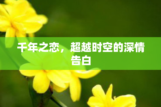 千年之恋，超越时空的深情告白