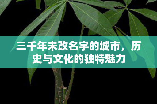 三千年未改名字的城市，历史与文化的独特魅力