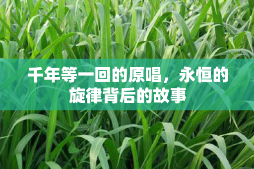 千年等一回的原唱，永恒的旋律背后的故事