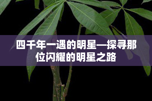 四千年一遇的明星—探寻那位闪耀的明星之路