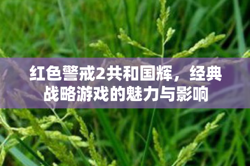 红色警戒2共和国辉，经典战略游戏的魅力与影响