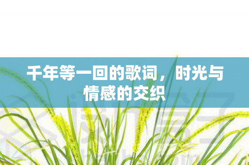 千年等一回的歌词，时光与情感的交织