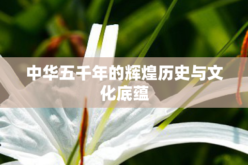 中华五千年的辉煌历史与文化底蕴