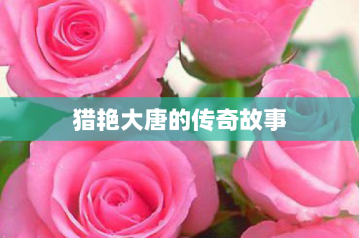 猎艳大唐的传奇故事