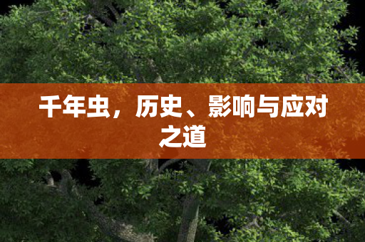 千年虫，历史、影响与应对之道