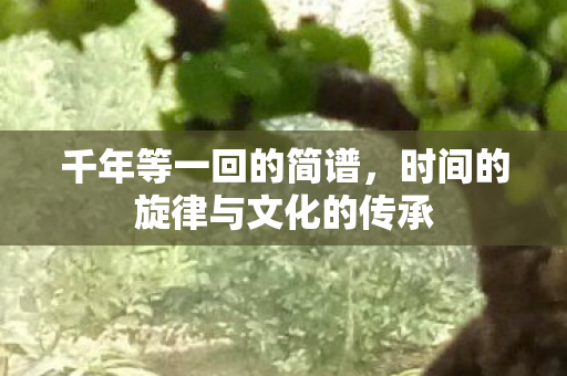 千年等一回的简谱,时间的旋律与文化的传承 千年等一回的简谱,时间的旋律与文化的传承
