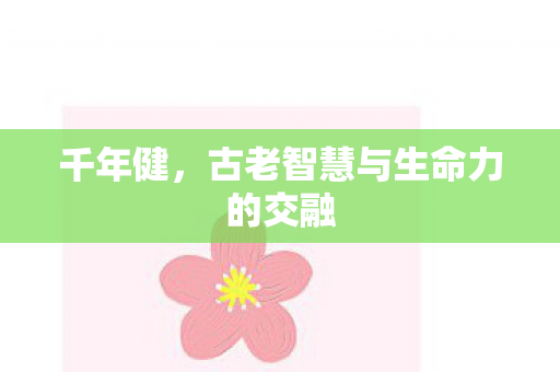 千年健，古老智慧与生命力的交融