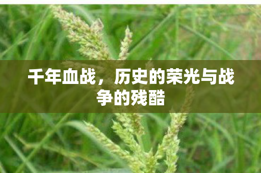 千年血战，历史的荣光与战争的残酷