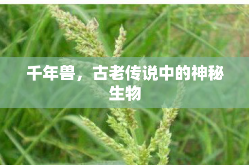 千年兽，古老传说中的神秘生物