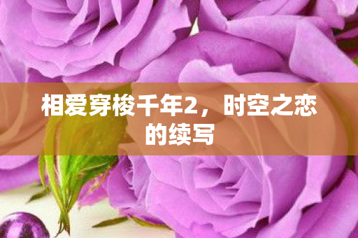 相爱穿梭千年2，时空之恋的续写