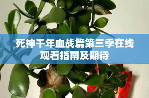 死神千年血战篇第三季在线观看指南及期待