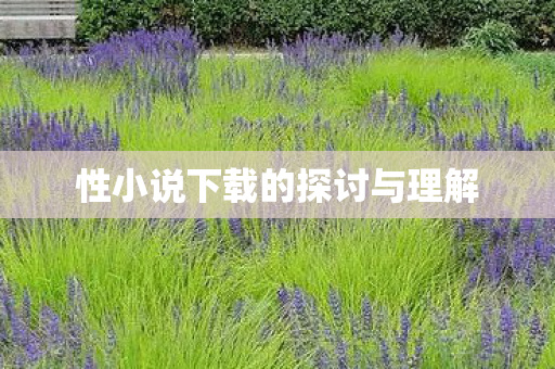 性小说下载的探讨与理解