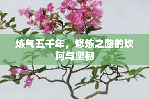 炼气五千年，修炼之路的坎坷与坚韧