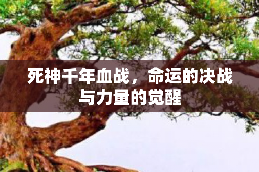 死神千年血战，命运的决战与力量的觉醒