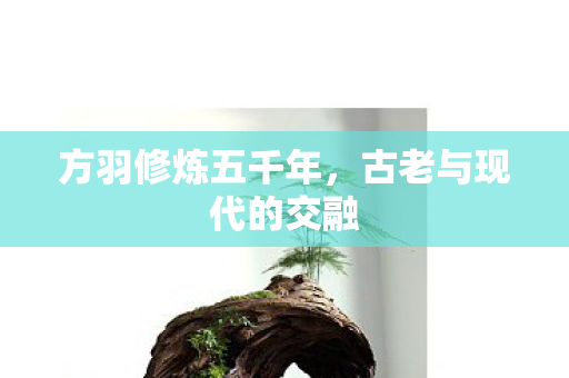 方羽修炼五千年，古老与现代的交融