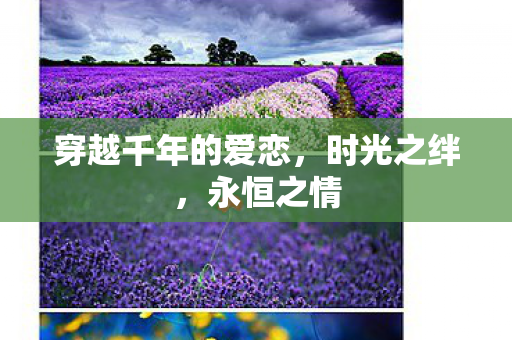 穿越千年的爱恋，时光之绊，永恒之情