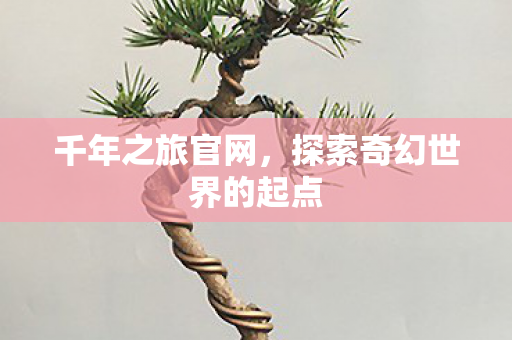 千年之旅官网,探索奇幻世界的起点 千年之旅官网,探索奇幻世界的起点