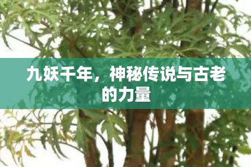 九妖千年，神秘传说与古老的力量