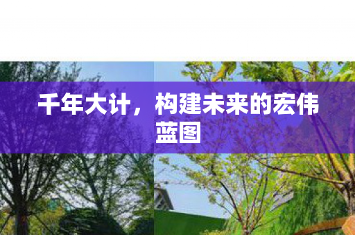 千年大计，构建未来的宏伟蓝图