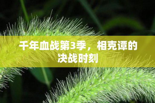 千年血战第3季，相克谭的决战时刻