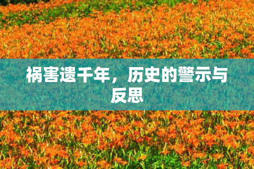 祸害遗千年，历史的警示与反思