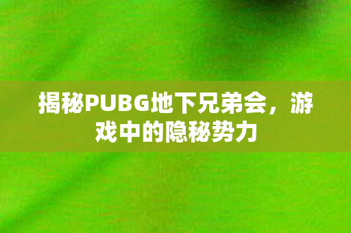 揭秘PUBG地下兄弟会，游戏中的隐秘势力