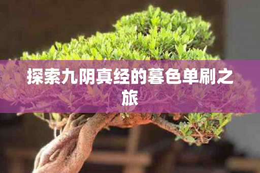 探索九阴真经的暮色单刷之旅