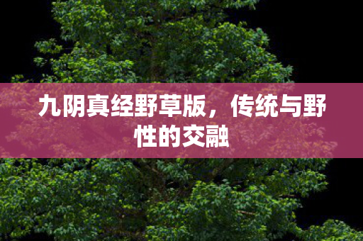 九阴真经野草版,传统与野性的交融 九阴真经野草版,传统与野性的交融