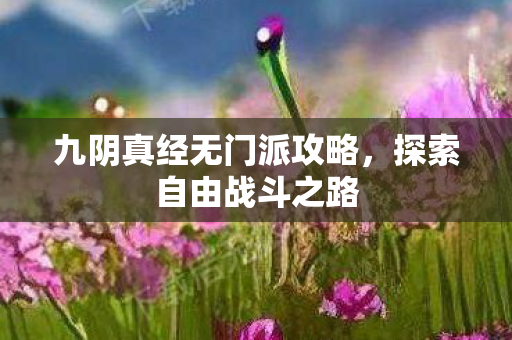 九阴真经无门派攻略，探索自由战斗之路