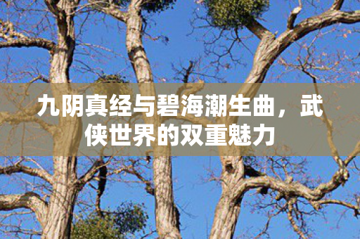 九阴真经与碧海潮生曲，武侠世界的双重魅力