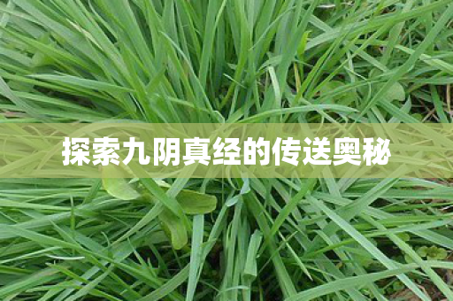 探索九阴真经的传送奥秘 探索九阴真经的传送奥秘