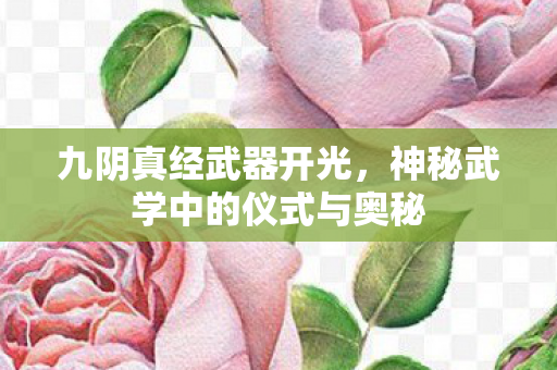 九阴真经武器开光，神秘武学中的仪式与奥秘