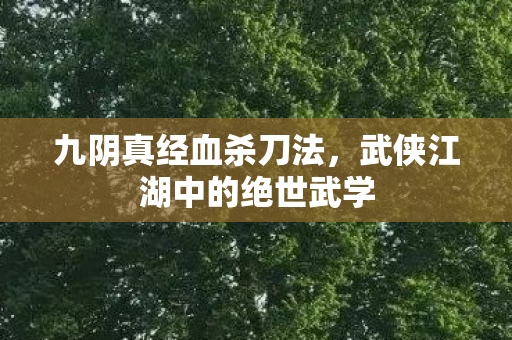 九阴真经血杀刀法，武侠江湖中的绝世武学