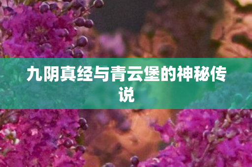 九阴真经与青云堡的神秘传说