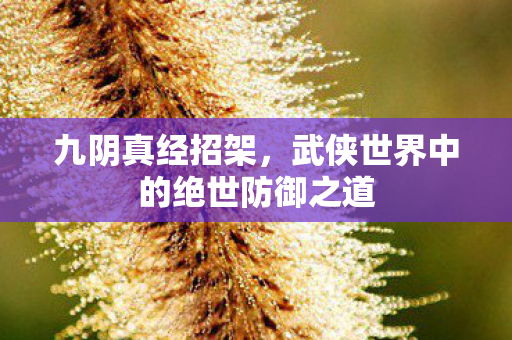 九阴真经招架，武侠世界中的绝世防御之道