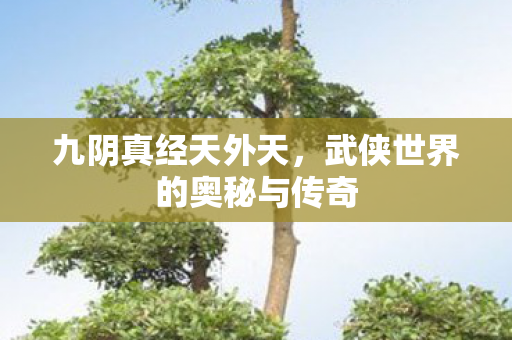 九阴真经天外天，武侠世界的奥秘与传奇