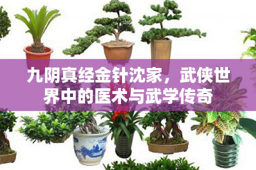 九阴真经金针沈家，武侠世界中的医术与武学传奇