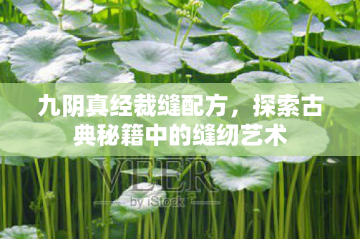 九阴真经裁缝配方，探索古典秘籍中的缝纫艺术
