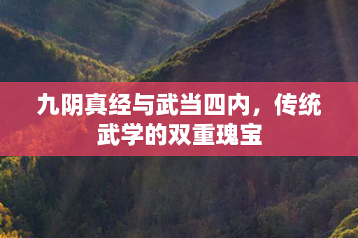 九阴真经与武当四内,传统武学的双重瑰宝 九阴真经与武当四内,传统武学的双重瑰宝