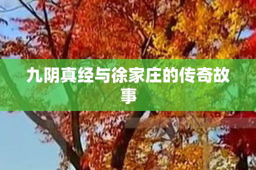 九阴真经与徐家庄的传奇故事 九阴真经与徐家庄的传奇故事