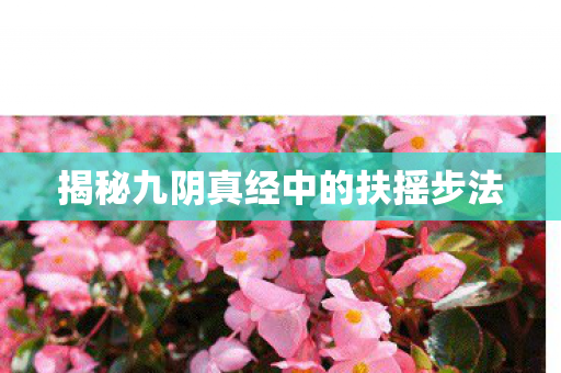 揭秘九阴真经中的扶摇步法