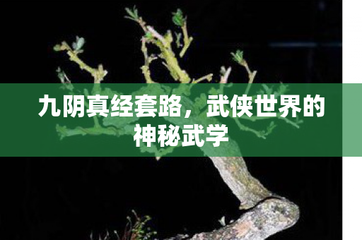 九阴真经套路，武侠世界的神秘武学