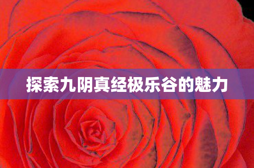 探索九阴真经极乐谷的魅力